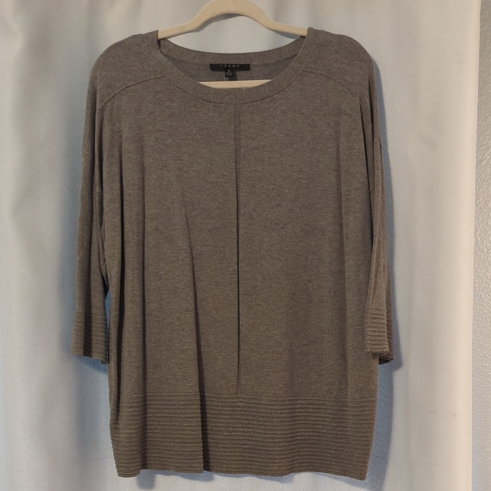 Cyrus Gray Tunic Top